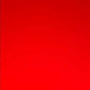 Meet your Posher, Raina